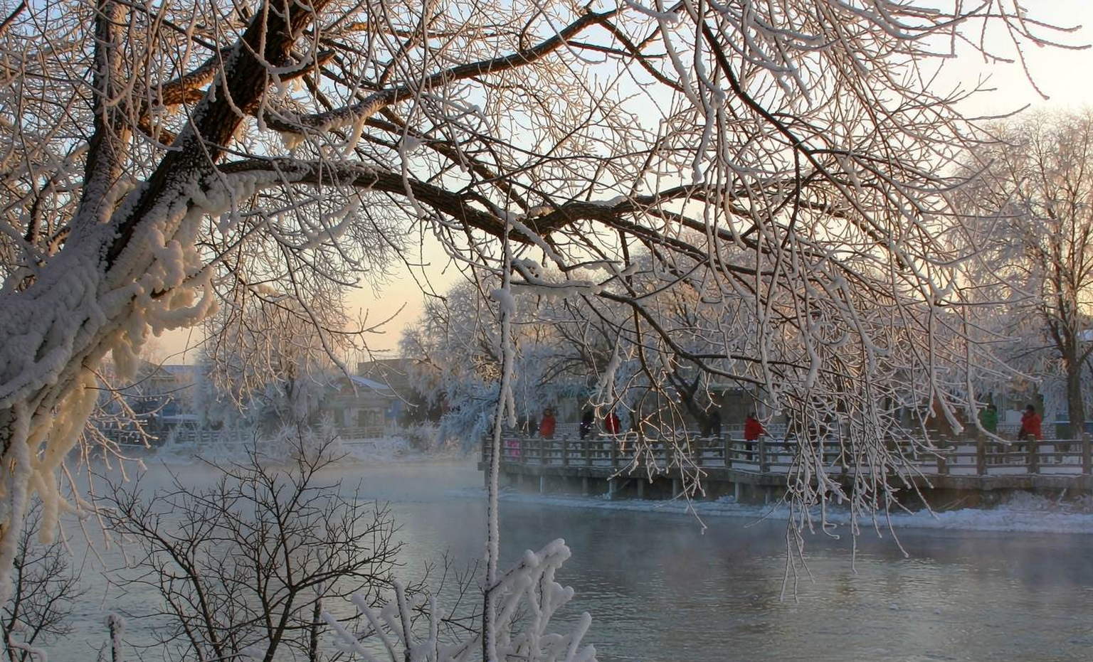 雾凇岛·寒江雪柳
